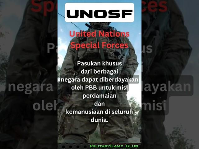 United Nations Special Forces - UNOSF  #fakta #militaryindonesia #military #shorts