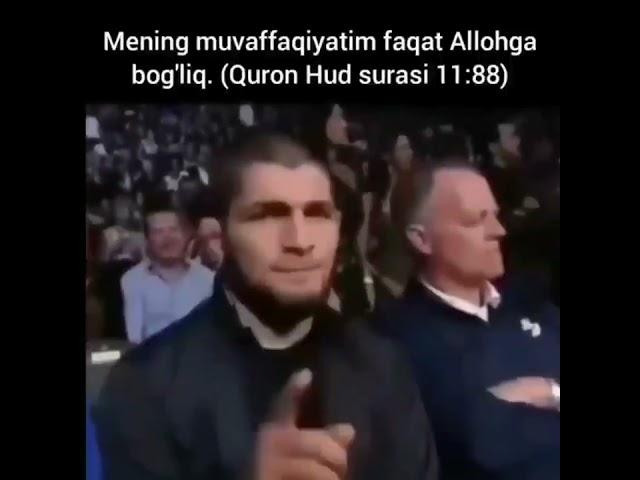 habib janglari