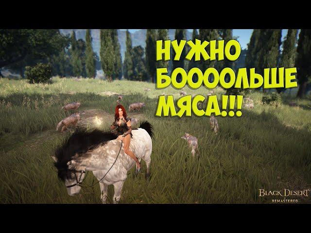 Самый лучший спот по сбору мяса Black Desert Online.