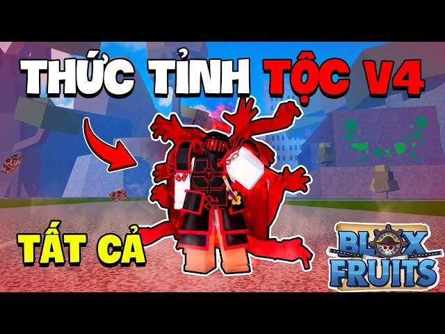 Roblox - [FULL] Cách Thức Tỉnh TẤT CẢ TỘC V4 Chi Tiết Trong Blox Fruits