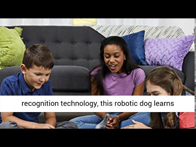 zoomer Playful Pup, Responsive Robotic Dog with Voice Recognition & Realistic Motion, For Ages 5 &