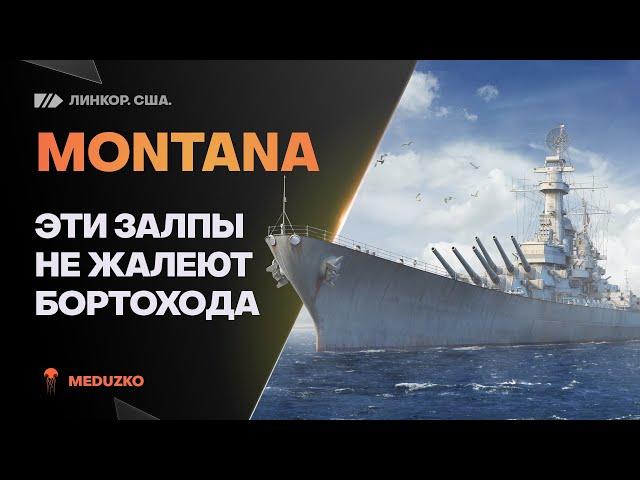 MONTANA ● ЛУЧШИЕ ЗАЛПЫ В ИГРЕ?