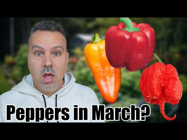 24 Peppers to Plant in March - Indoors & Outdoors