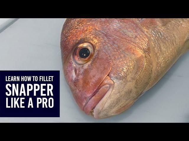 How to fillet, skin and debone New Zealand snapper (tāmure)