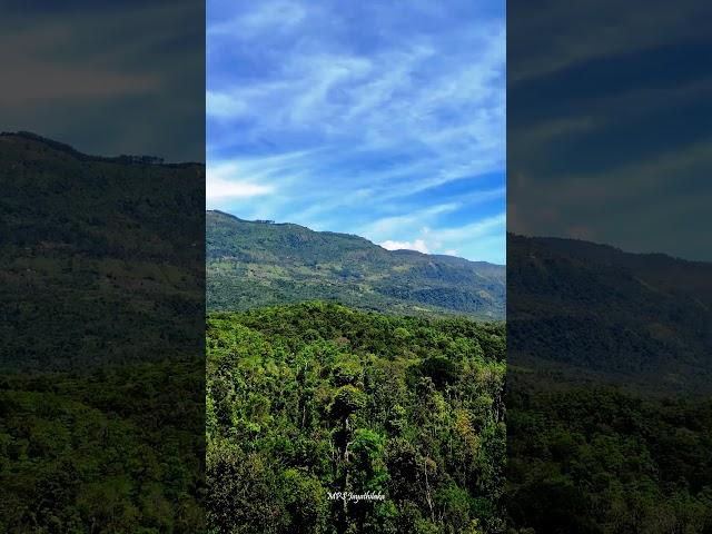 haputale mountain #haputhale #srilanka #mountains #ella #fyp