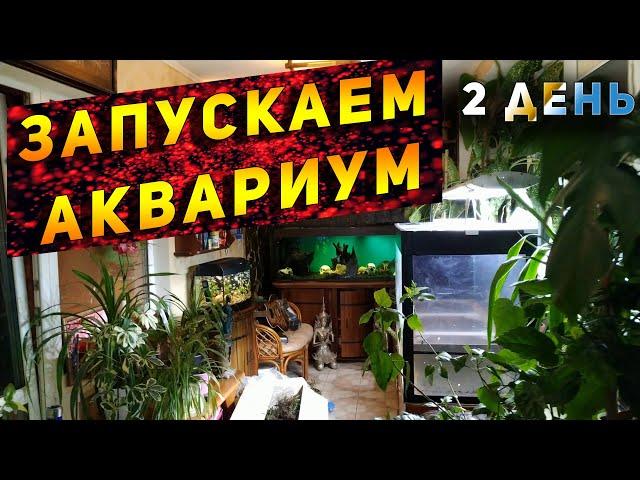 БОЛЬШОЙ 500 ЛИТРОВЫЙ АКВАРИУМ С РЫБКАМИ!