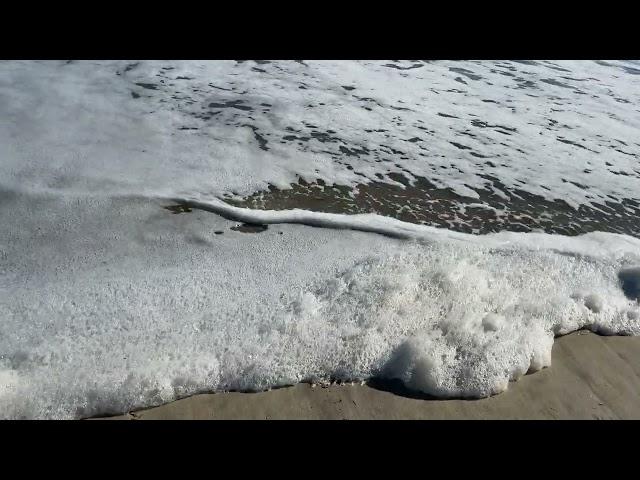 SUNDAY OBX BEACH WALK Outer Banks