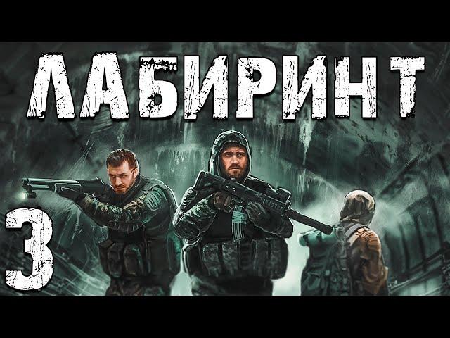 S.T.A.L.K.E.R. Лабиринт #3. Автомат Борова