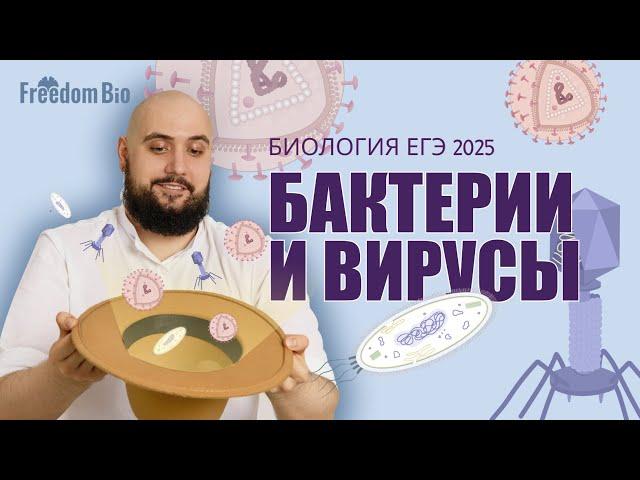 БАКТЕРИИ И ВИРУСЫ |Общая биология |ЕГЭ БИОЛОГИЯ 2025|Freedom|