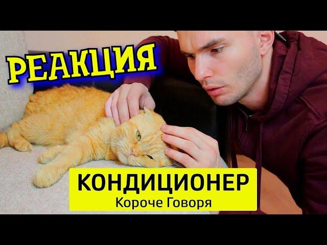 РЕБОРН СМОТРИТ ► КОРОЧЕ ГОВОРЯ, КОНДИЦИОНЕР ► РЕАКЦИЯ НА ТИМ ТИМ