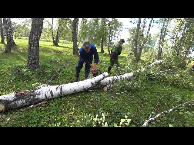 Поездка на ГАЗ-63 за дровами,рубим лес щепки летят.