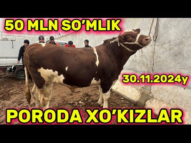 #buqalar #narxlari #zang #mol #bozori 30.11.2024y #rek #video #chorva #olami #rekomendatsiya #trend