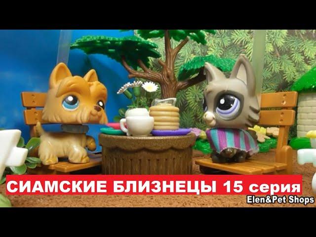 LPS Сиамские близнецы 15 серия