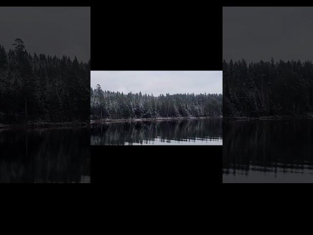 Moose Crossing Lake– From the Archive #Shorts#moose