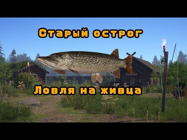 Старый острог\Щука на живцаРОЗЫГРЫШ\Русская рыбалка 4\рр4