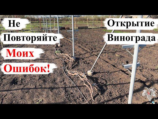 НЕ Повторяйте МОИХ ОШИБОК! Открытие и Подвязка ВИНОГРАДА!