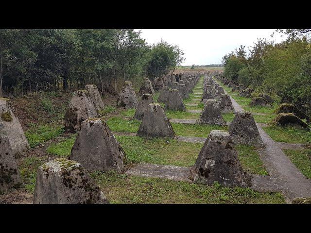 Panzersperren || OSTWALL || Höckerlinie an der Festungsfront Oder-Warthe-Bogen || Panzergraben