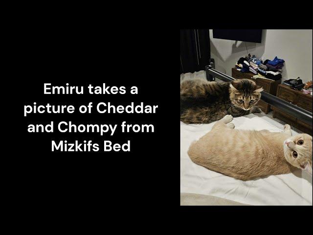 Emiru Sleeps in Mizkifs Bed - Explained Video