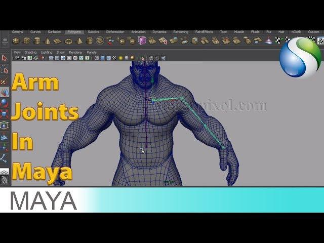 Rigging In Maya Chapter 03 - Arm Joints