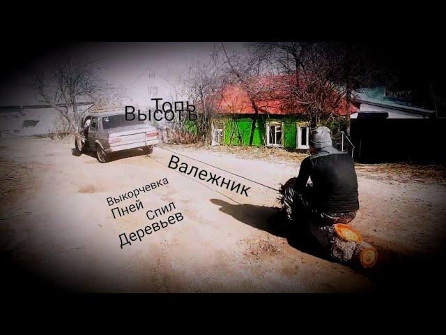 Лес/Выкорчевка пня/Сжечь шину на бензопиле/Сбор валежника/Tree cutting/extreme ride/Арбористика