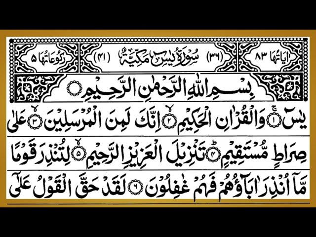 Surah Yasin | Surah Ar Rahman Surah Mulk | یس سورہ | Beautiful Recitation | jlhiefddjh | EPM-00332