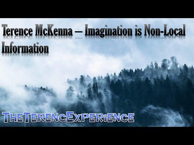 Terence McKenna – Imagination is Non-Local Information