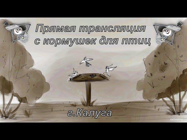 #кормушки_для_птиц. День 14 октября  2024 года