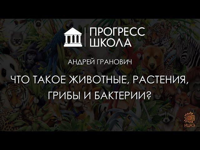 Андрей Гранович — Что такое животные, растения, грибы и бактерии?