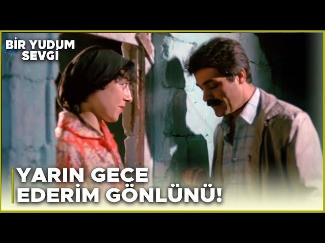 Bir Yudum Sevgi Türk Filmi | Cemal, Feride'yi Yokluyor