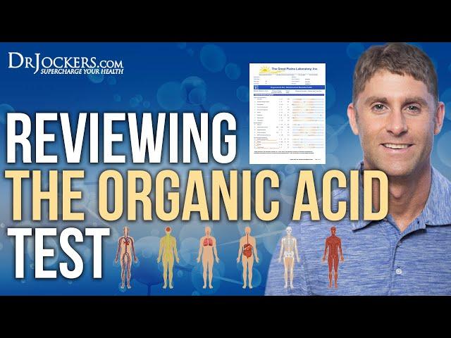 Reviewing the Organic Acid Test for Brain, Gut Health and Energy Levels