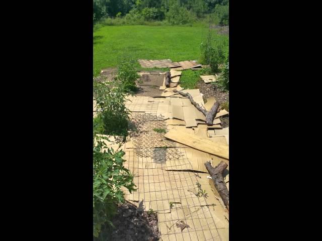 No more deers in my garden.