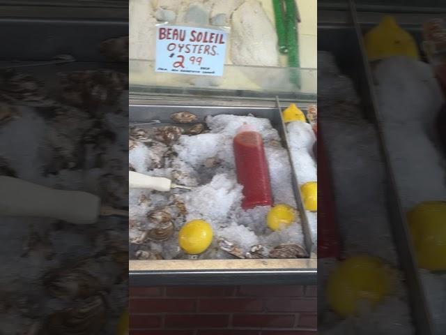 Eating Sidewalk Oysters in the Bronx. #nyc #oysters #bronx #foodie