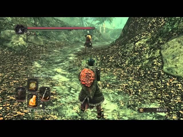 DARK SOULS II: Scholar of the First Sin, offline sunlight medal farming.