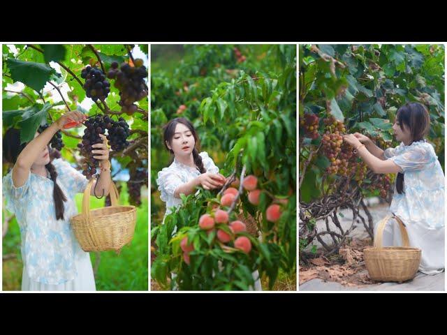 Beautiful Nature with Rural Life - Harvest fruits and cook by the stream #fruit #nature #rurallife