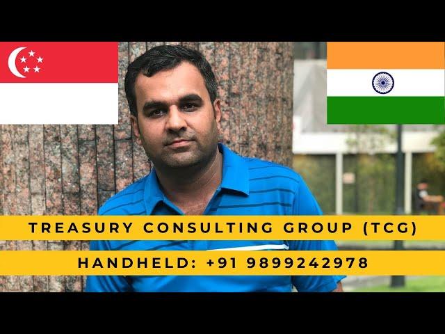 Video Number 213 # Treasury Consulting Group (TCG) # Media Desk