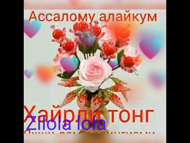 Charchadim ey xayot (xammasidan) 