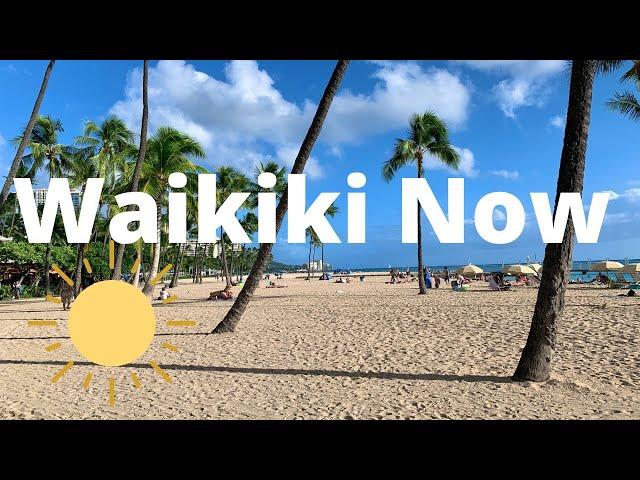 WAIKIKI NOW | June 2023 | NARRATED Walking Tour 4K