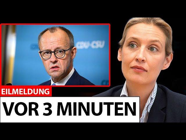 Merz unter Schock! WEIDEL ENTHÜLLT UNGLAUBLICHES!