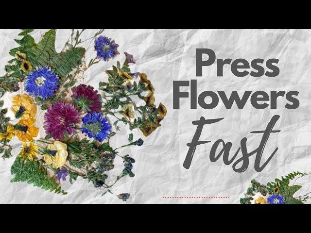 How to Press Flowers Fast: Quick Preservation | Easy DIY Tutorial