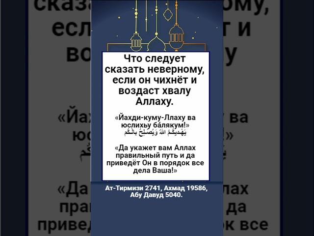 Что следует сказать неверному, если он чихнёт и воздаст хвалу Аллаху.