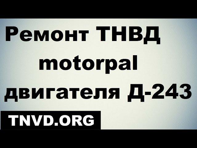 Ремонт ТНВД motorpal двигателя Д-243