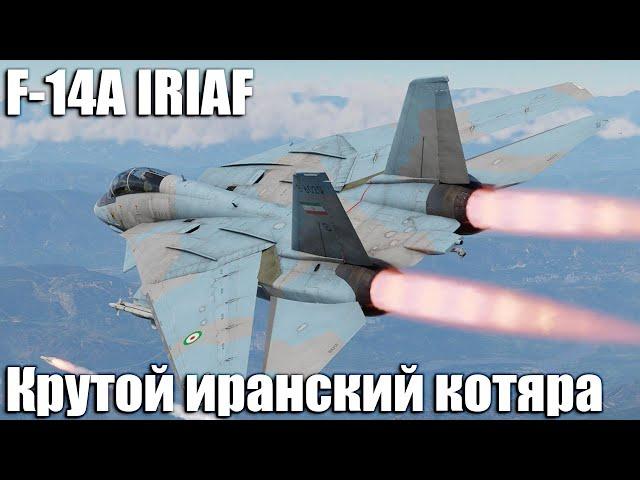 F-14A IRIAF Крутой иранский котяра