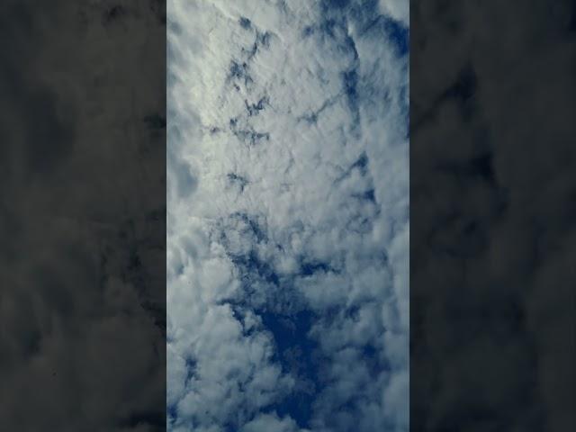 lie down and look up at the sky