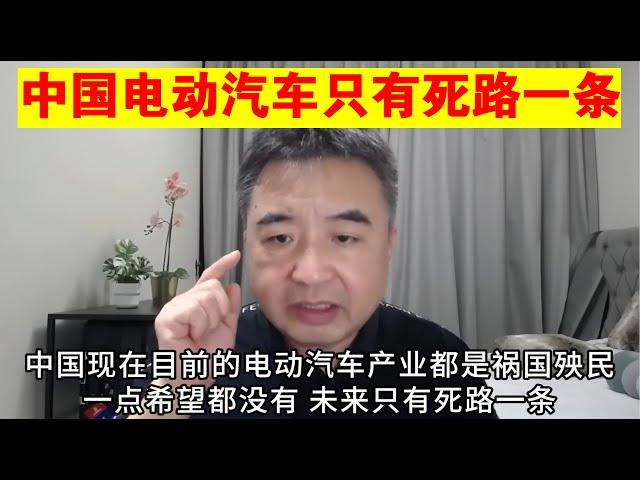 翟山鹰：中国电动汽车未来只有死路一条丨比亚迪丨特斯拉