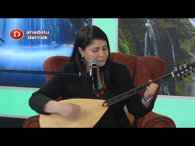 Aysel Yılmaz - Neyine Güvenem Yalan Dünyanın