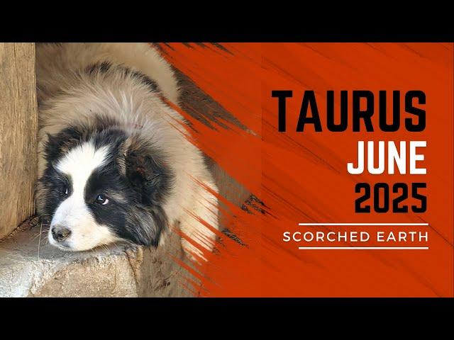 TAURUS || JUNE 2025