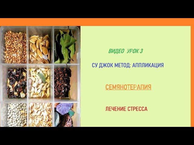 ВИДЕО УРОК 3. Суджок Ки метод аппликации. Семянотерапия