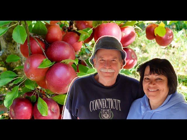 Growing and Cultivating Apples with Ed Nemergut.