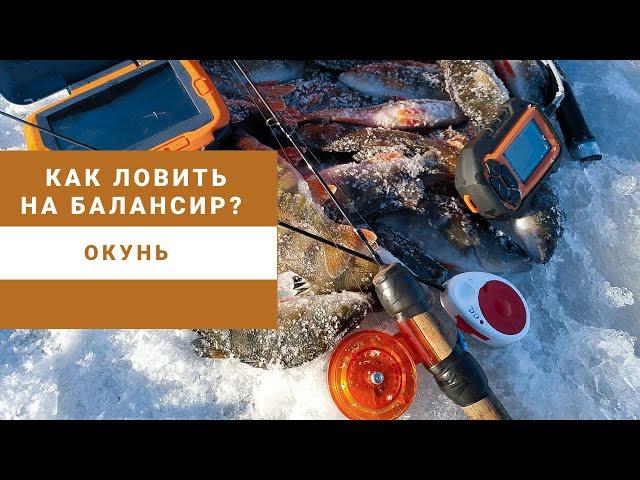 Как ловить на балансир? Окунь.