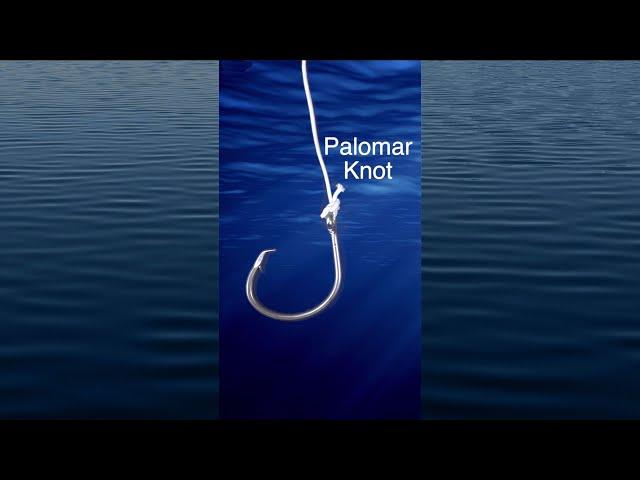 Palomar Knot - How To Tie Easy Strong Fishing Knot